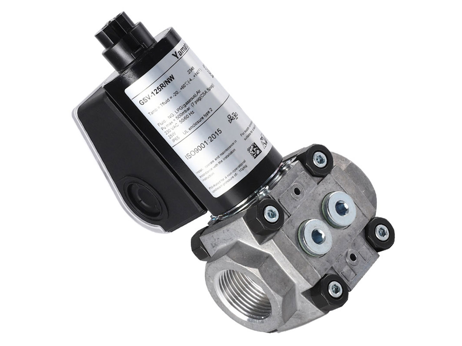 GSV-125R/NW (4)